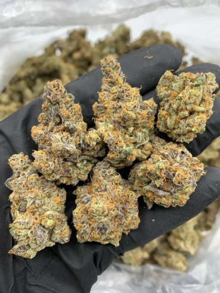 Blue Dream Strain