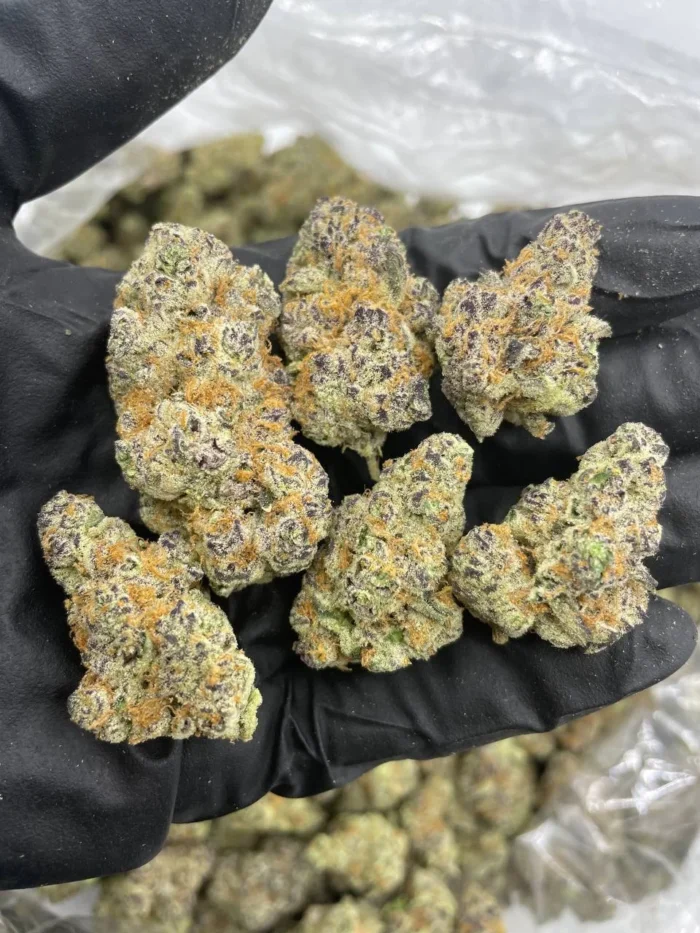 Cake Crasher Strain