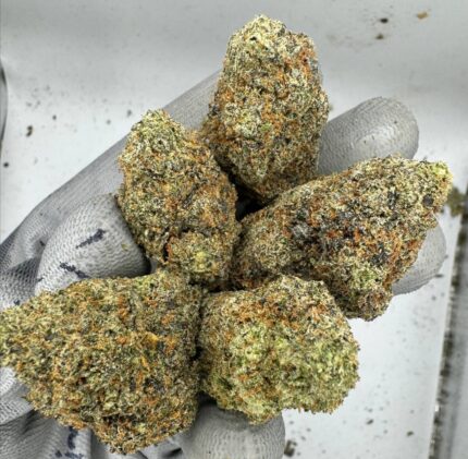 Northern Lights Strain