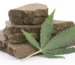 What Is Hash: Guide to the Difference Between Hash and Weed