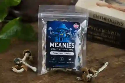 Blue Meanies magic mushrooms in a labeled pouch with Psilocybe cubensis identification