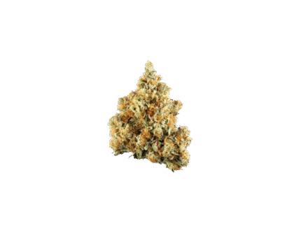 Honey Cream Strain