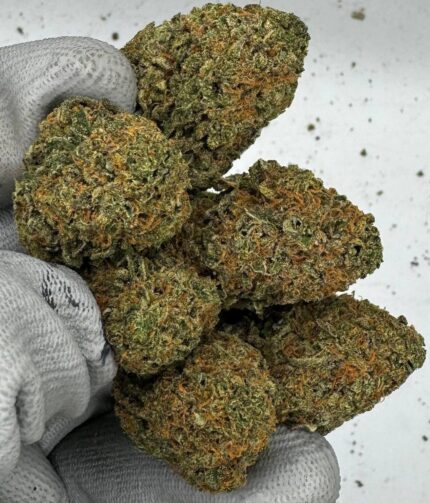 Stardawg Strain