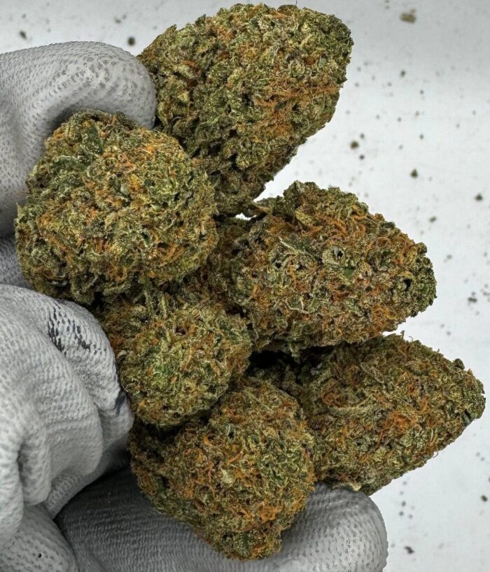 Stardawg Strain