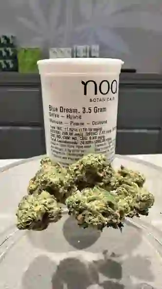 Dense green buds of the Blue Dream cannabis strain displaying orange hairs and trichomes