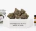 Strawberry Runtz Weed Strain dense green and purple flower buds covered in frosty trichomes